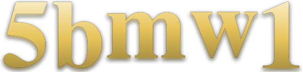 5bmw1 logo